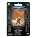 [Warhammer 40,000] T'Au Empire: Kroot Flesh Shaper