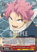 Down for Family Disputes, Natsu (FT/S120-E062S SR) [FAIRY TAIL 100 YEARS QUEST]