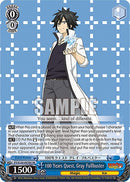 100 Years Quest, Gray Fullbuster (FT/S120-E078S SR) [FAIRY TAIL 100 YEARS QUEST]