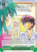 Complicated Yet Natural Matter (Ffp/W120-E070 U) [Fujimi Fantasia Bunko Vol.2]