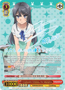 Irreplaceable Existence, Mai Sakurajima (SBY/W64-E053SEC SEC) [Rascal Does Not Dream of Bunny Girl Senpai]