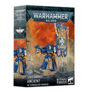[Warhammer 40,000] Space Marines: Ancient in Terminator Armour