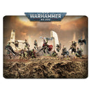[Warhammer 40,000] T'au empire - Kroot Farstalkers