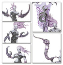 [Age of Sigmar] Spearhead: Hedonites of Slaanesh – Epicurean Revellers