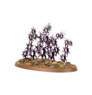[Age of Sigmar] Regiment of Renown: The Accursed Reflection
