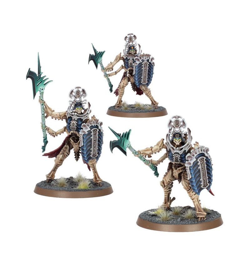 [Age of Sigmar] Regiment of Renown: Heralds of the Bone-tithe