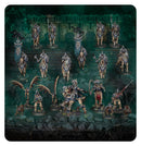 [Age of Sigmar] Spearhead: Ossiarch Bonereapers – Kavalos Vanguard