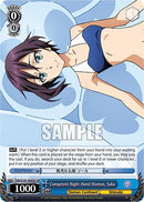 Competent Right-Hand Woman, Soka [That Time I Got Reincarnated as a Slime Vol.3]