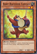 Baby Raccoon Tantan [SHSP-EN015] Common