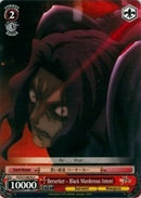 Berserker - Black Murderous Intent (FZ/S17-E070 U) [Fate/Zero]